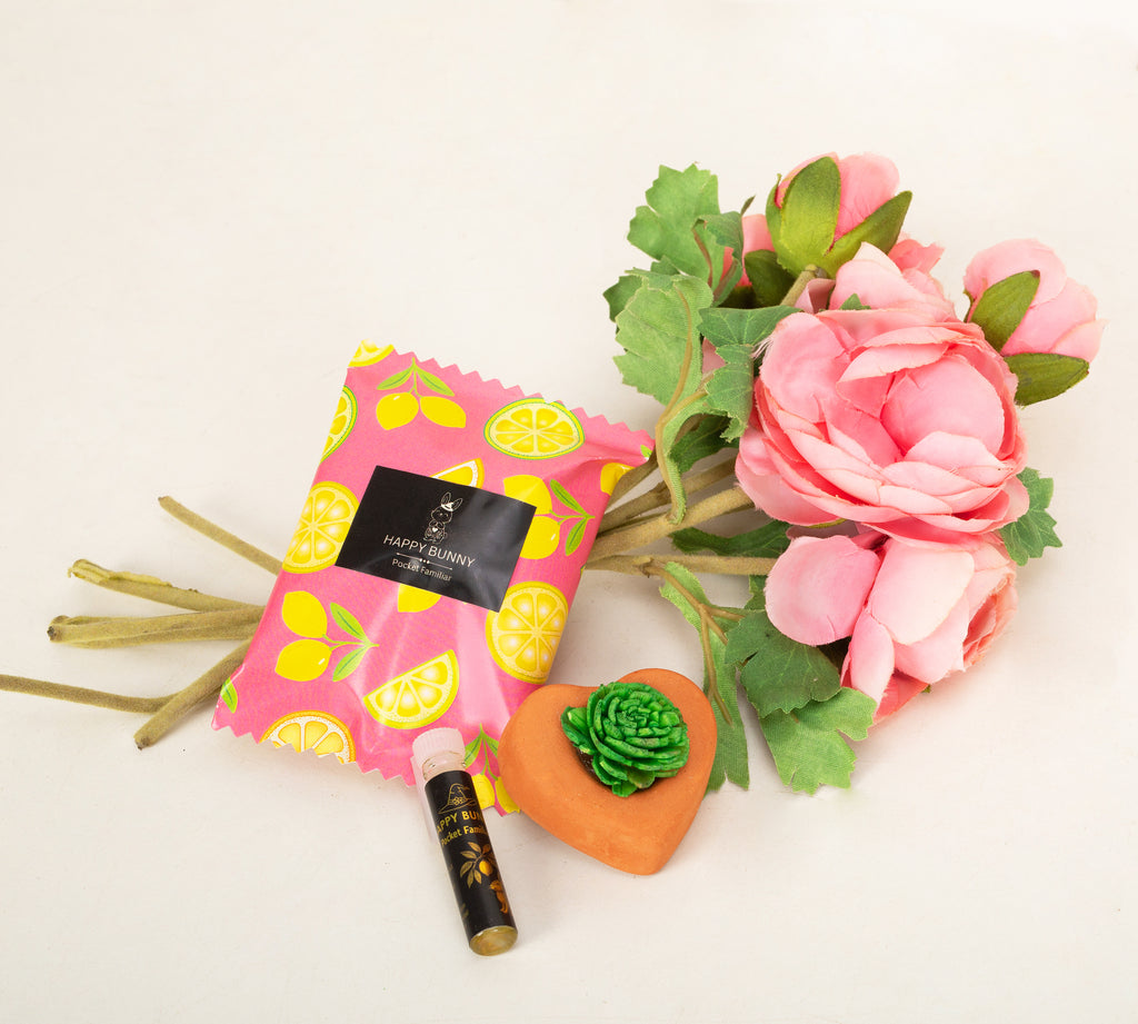 Citrus Celebration - Discovery Box