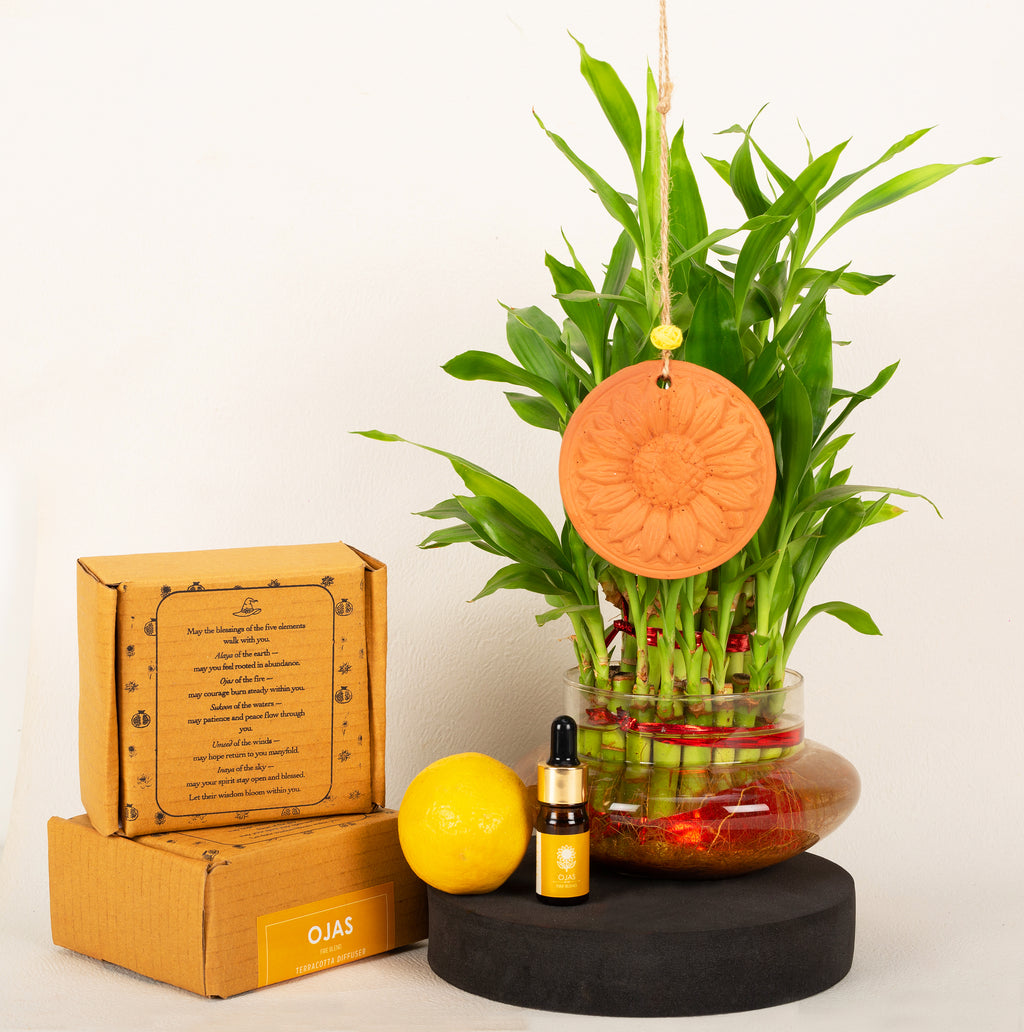 Ojas (Fire Blend) - Terracotta Diffuser Wall Hanging