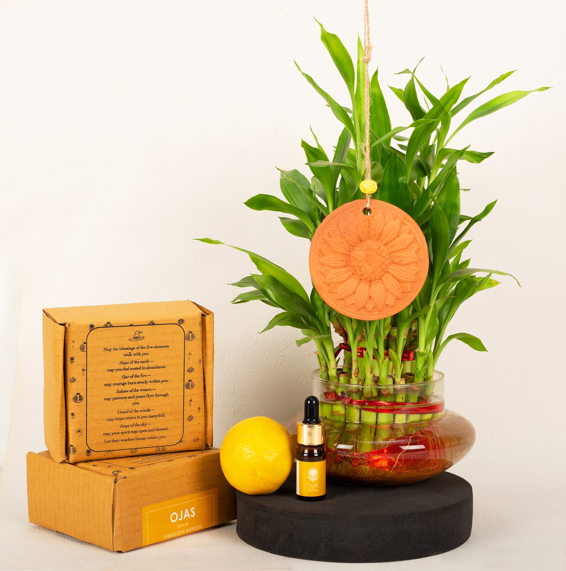 Ojas (Fire Blend) - Terracotta Diffuser Wall Hanging