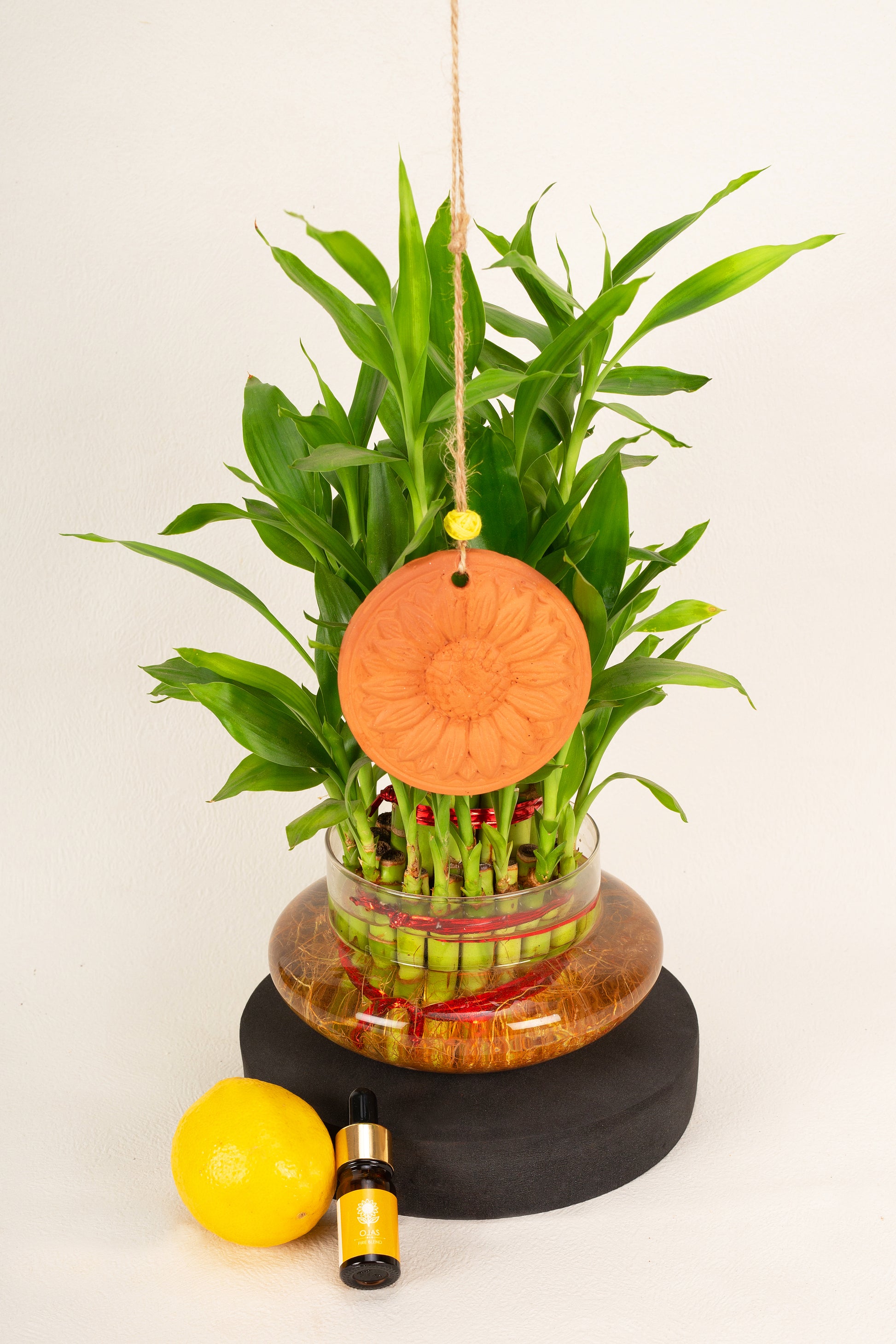 Ojas (Fire Blend) - Terracotta Diffuser Wall Hanging